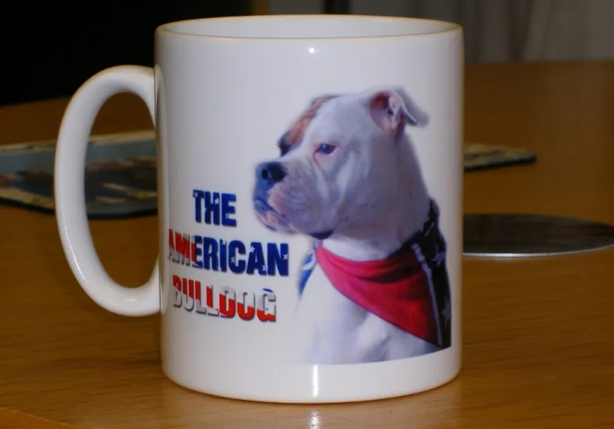 mug with bulldog printed on